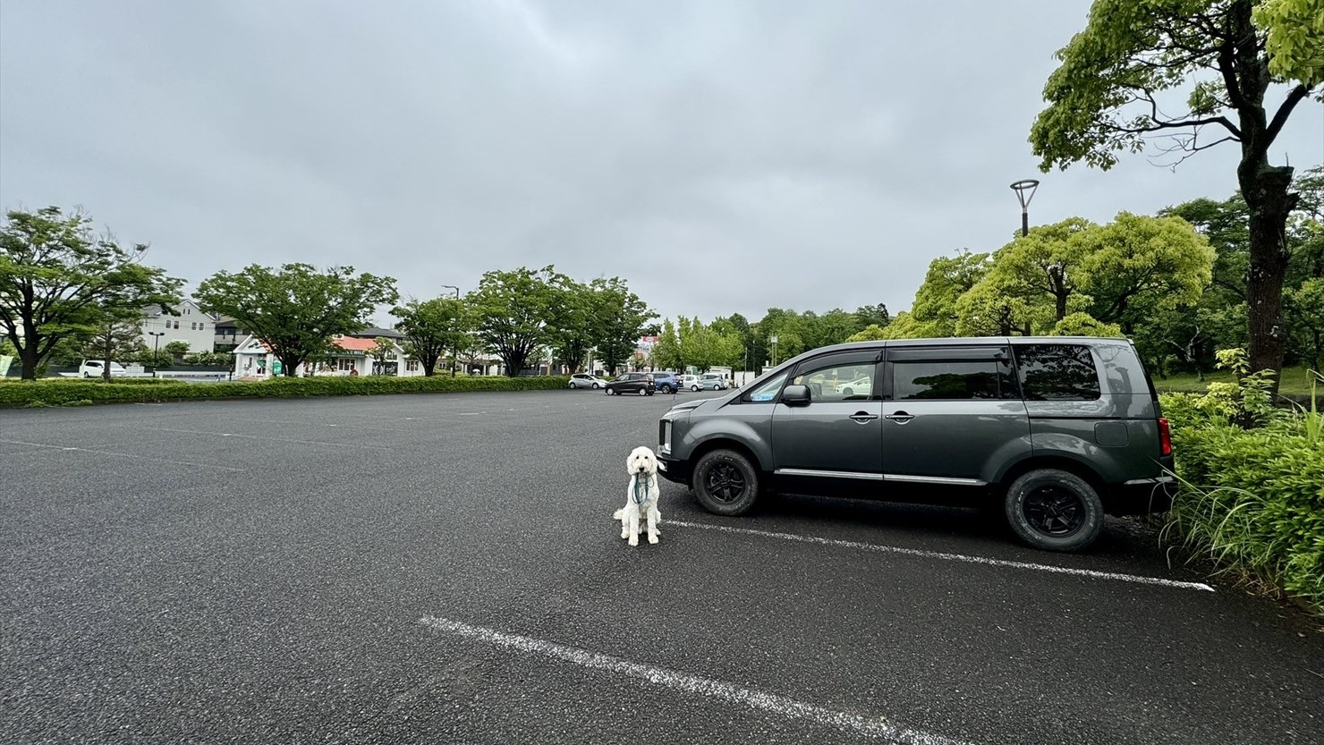 西口駐車場。当日は平日ということもあり、かなり空いていた