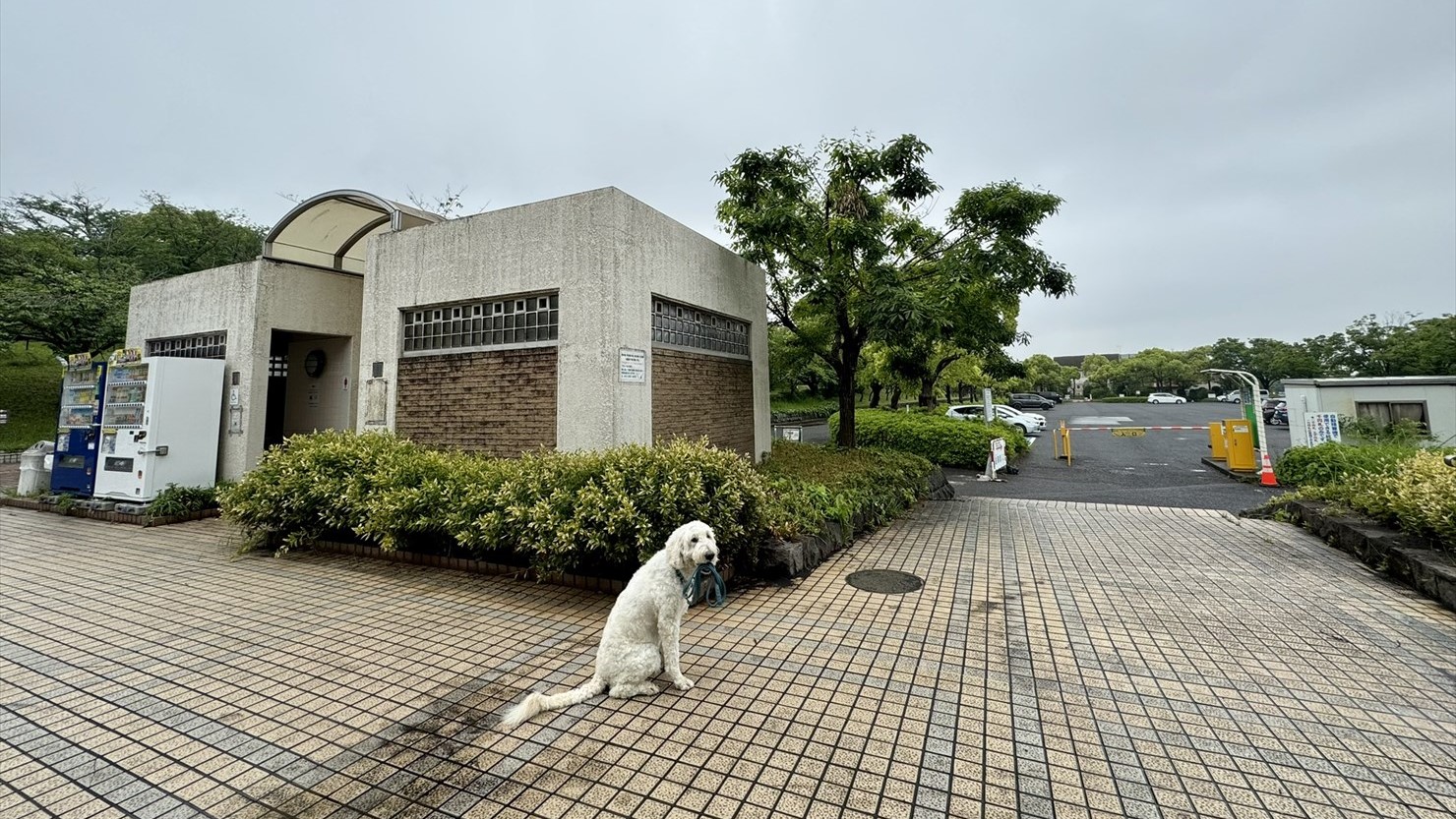 西口駐車場に隣接したトイレ