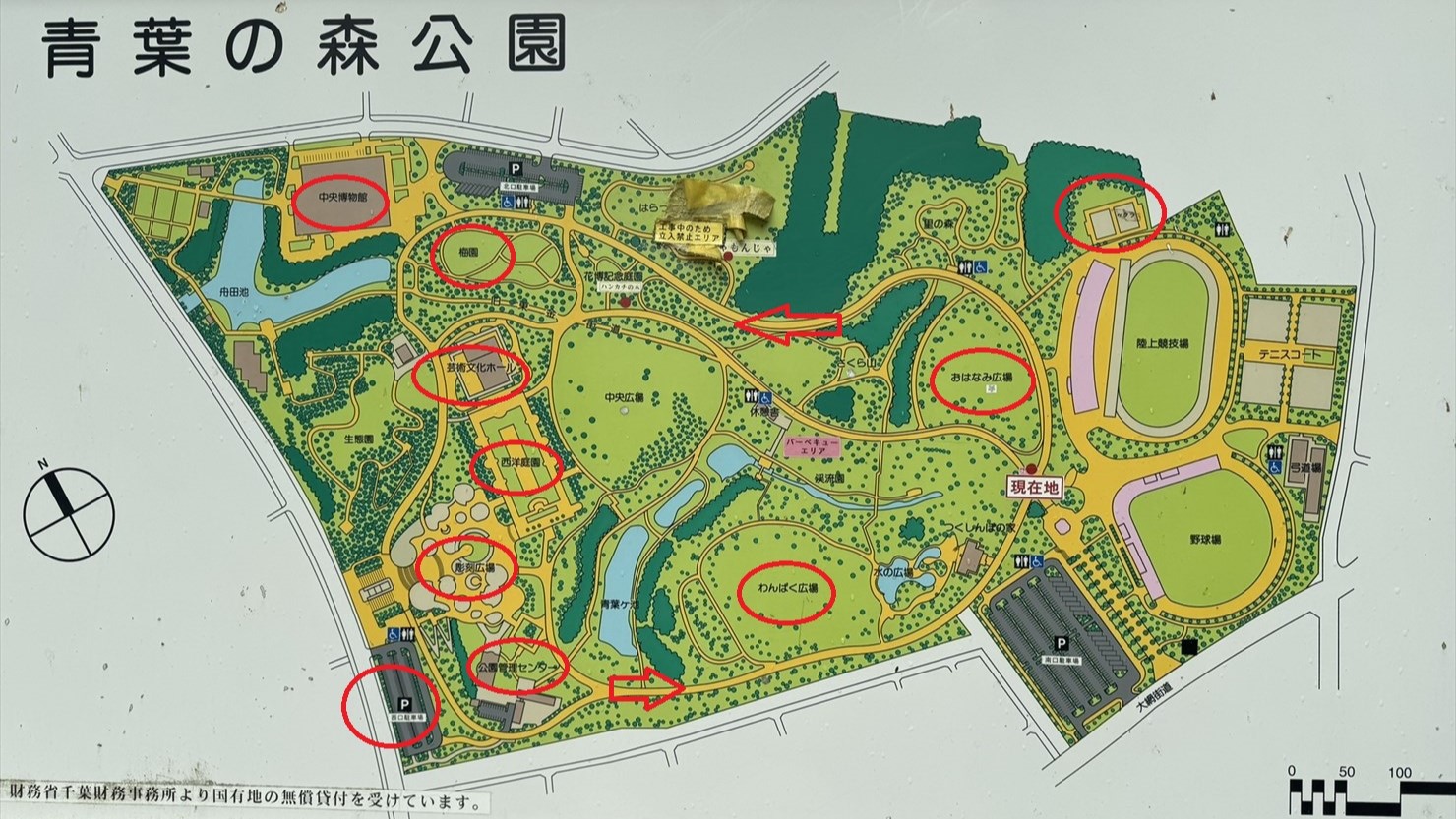 左側の西口駐車場から反時計回りに散歩する予定