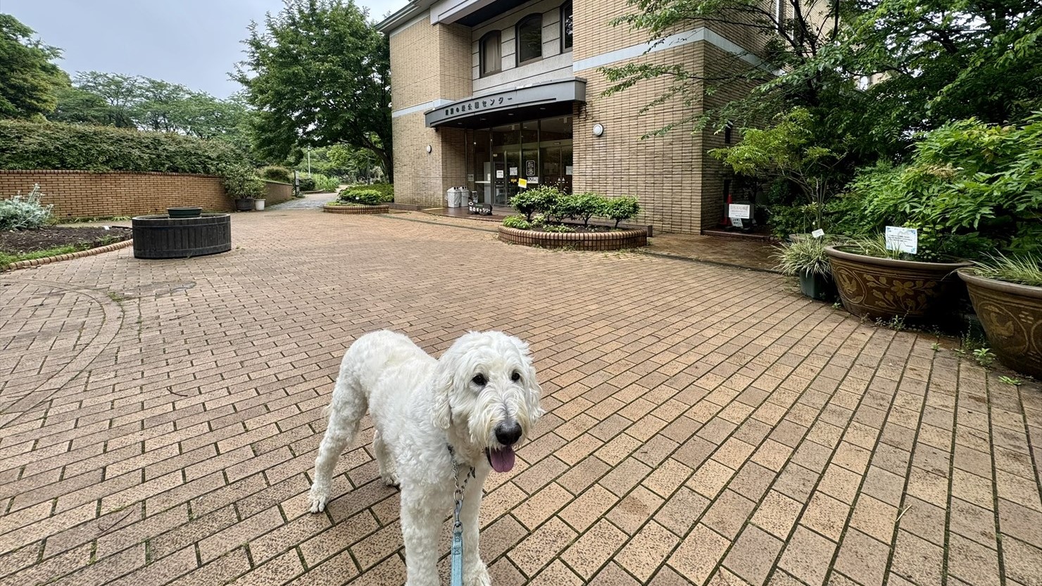 公園センターでは、あとで説明するドッグランのガイダンスも行っている