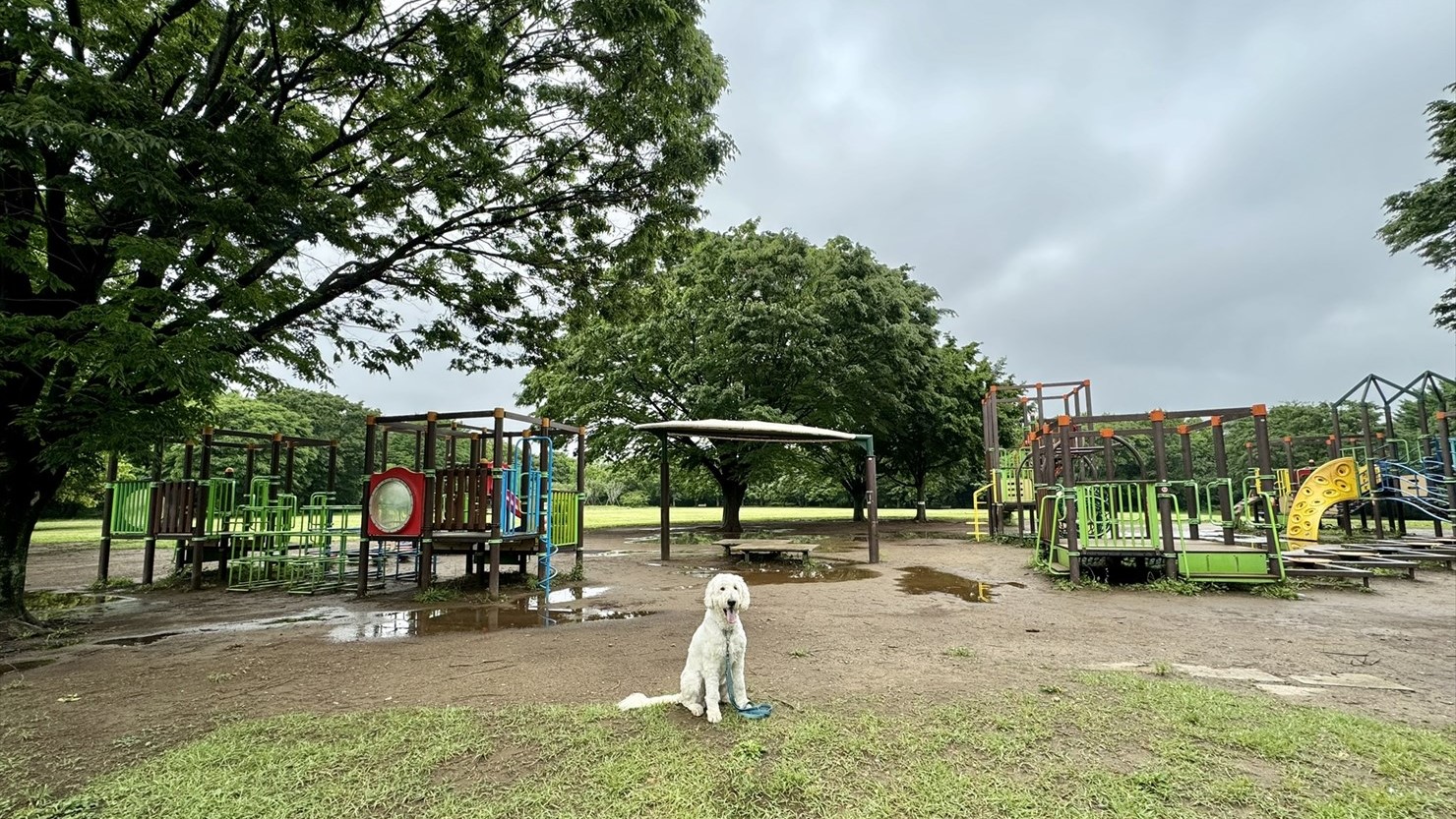 わんぱく広場の遊具たち