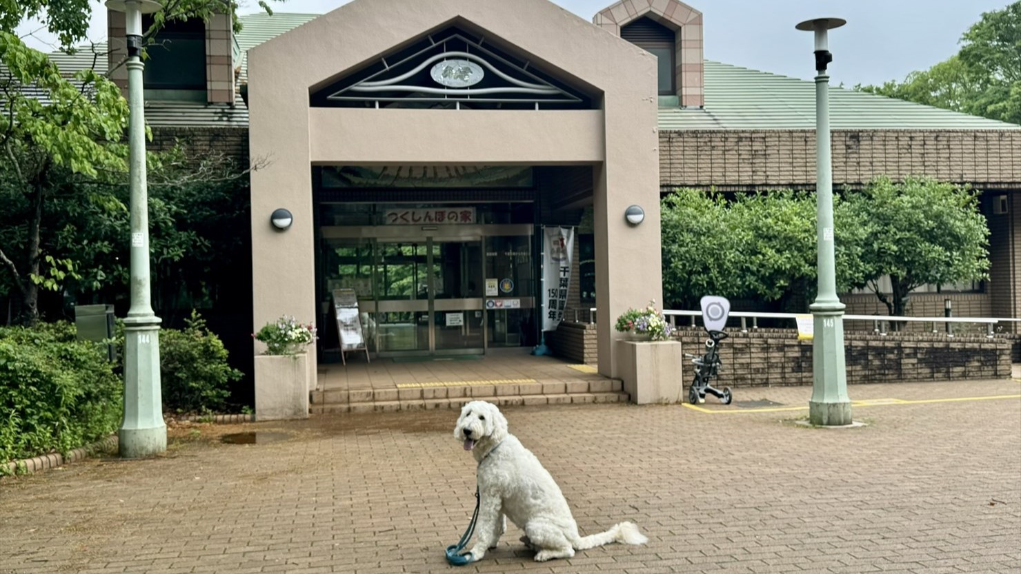 つくしんぼの家。ここは子どもも大人も出入り自由