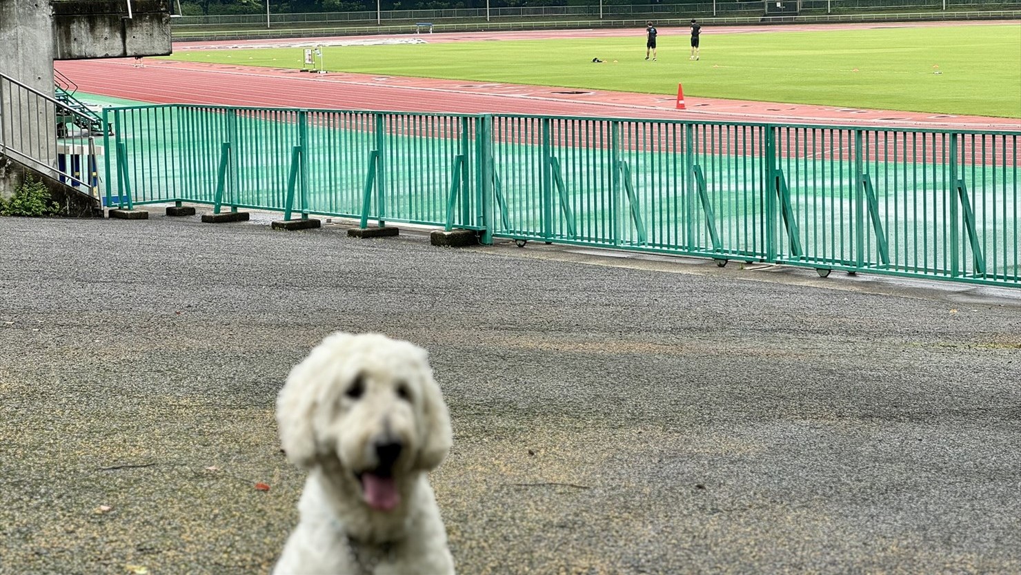 複数の若者がトレーニングを行っていた。がんばれ！