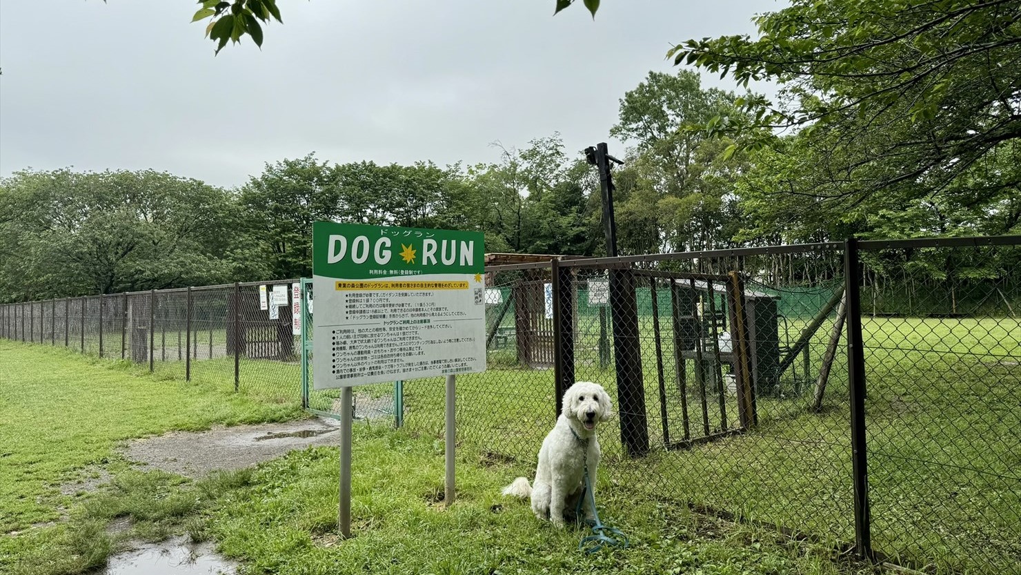 青葉の森公園のドッグラン出入口