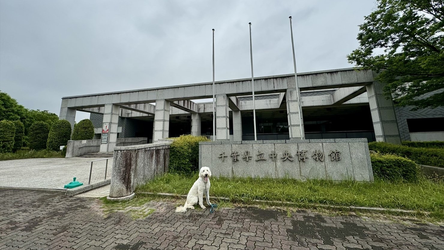 千葉県立中央博物館