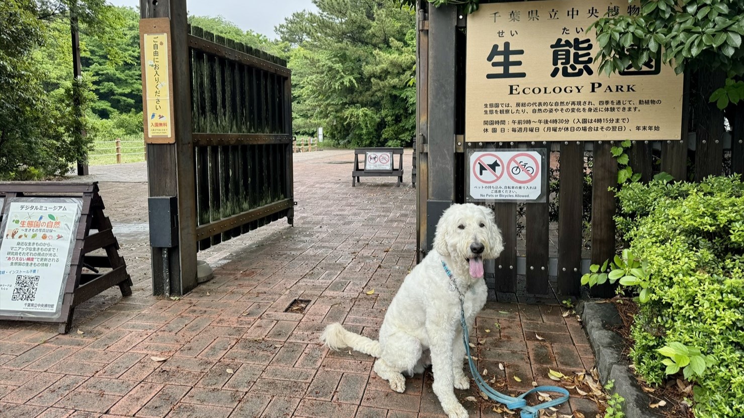 生態園に犬は入れない