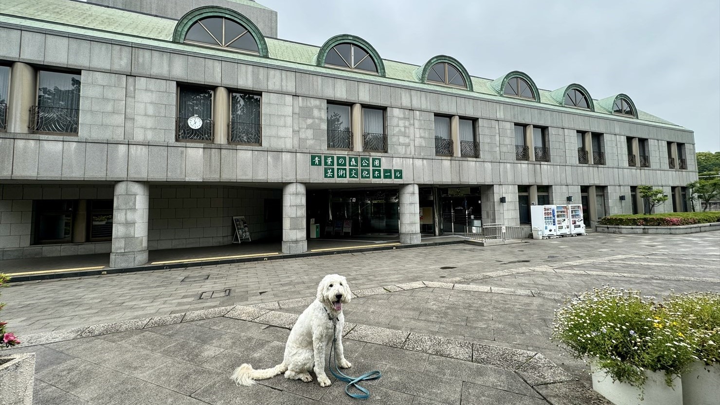 青葉の森芸術文化ホール