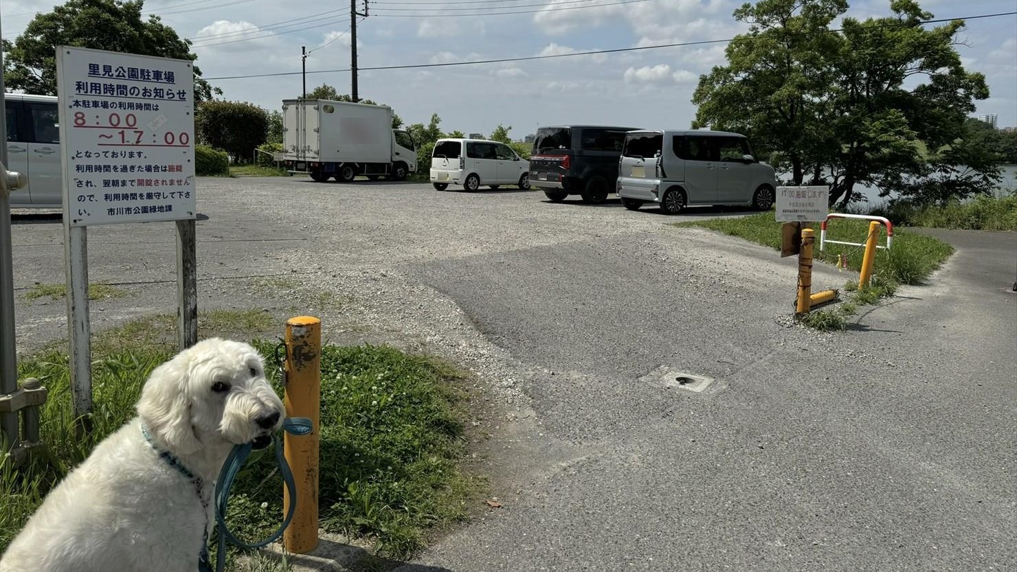 無料で約40台駐車可能。利用時間は8時から17時