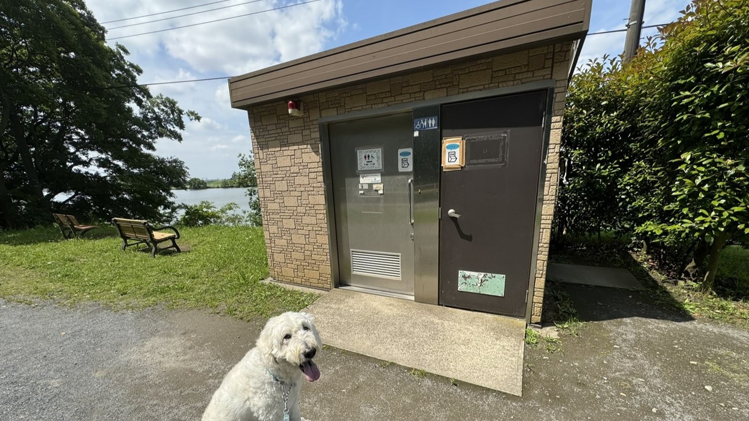 駐車場脇には公衆トイレがある