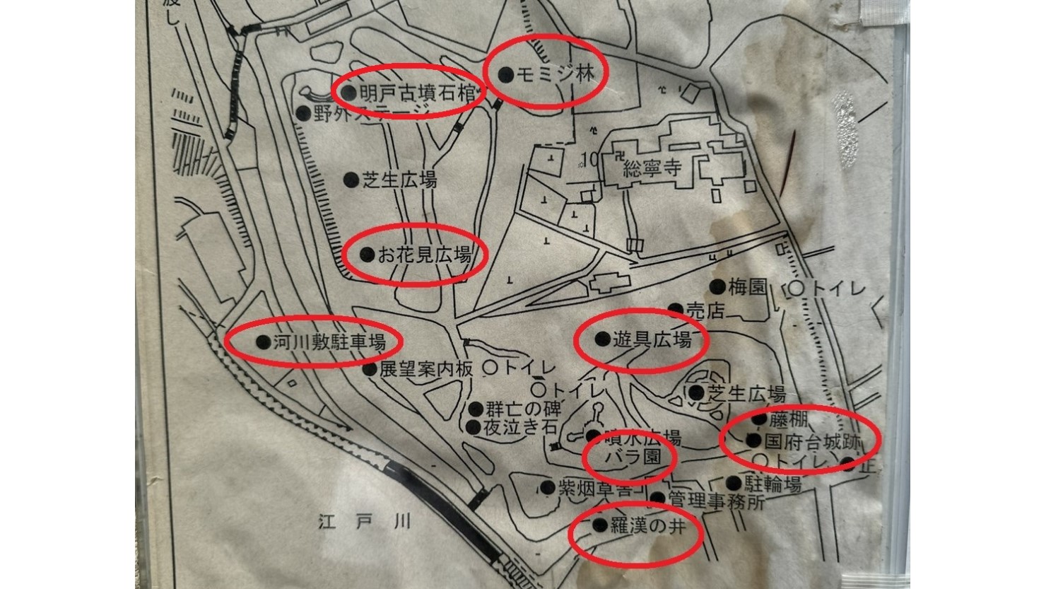 一番下の赤丸の羅漢の井から里見公園に入り、国府台城跡経由でモミジ林を目指す予定