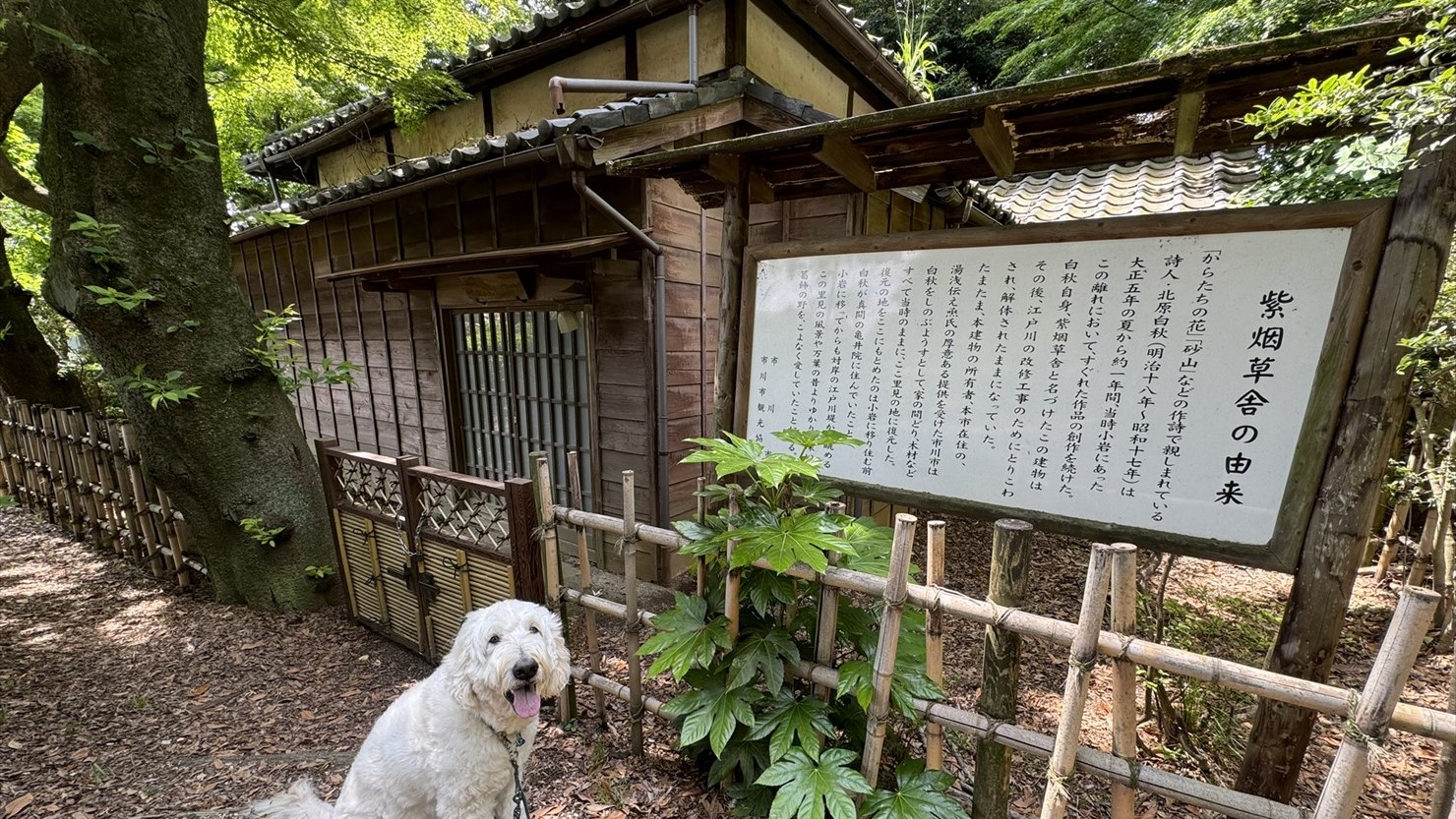 かつて北原白秋が暮らした紫烟草舎
