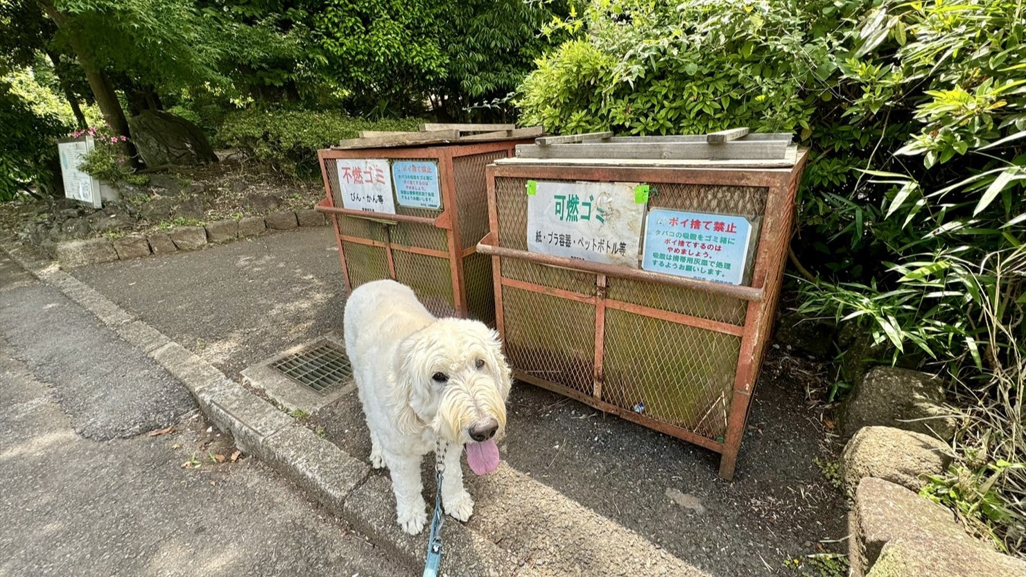 遊歩道沿いには、カラスなどにいたずらされないように重い蓋がついたゴミ箱があった