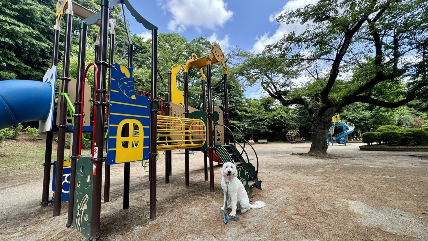 遊具広場の複合遊具