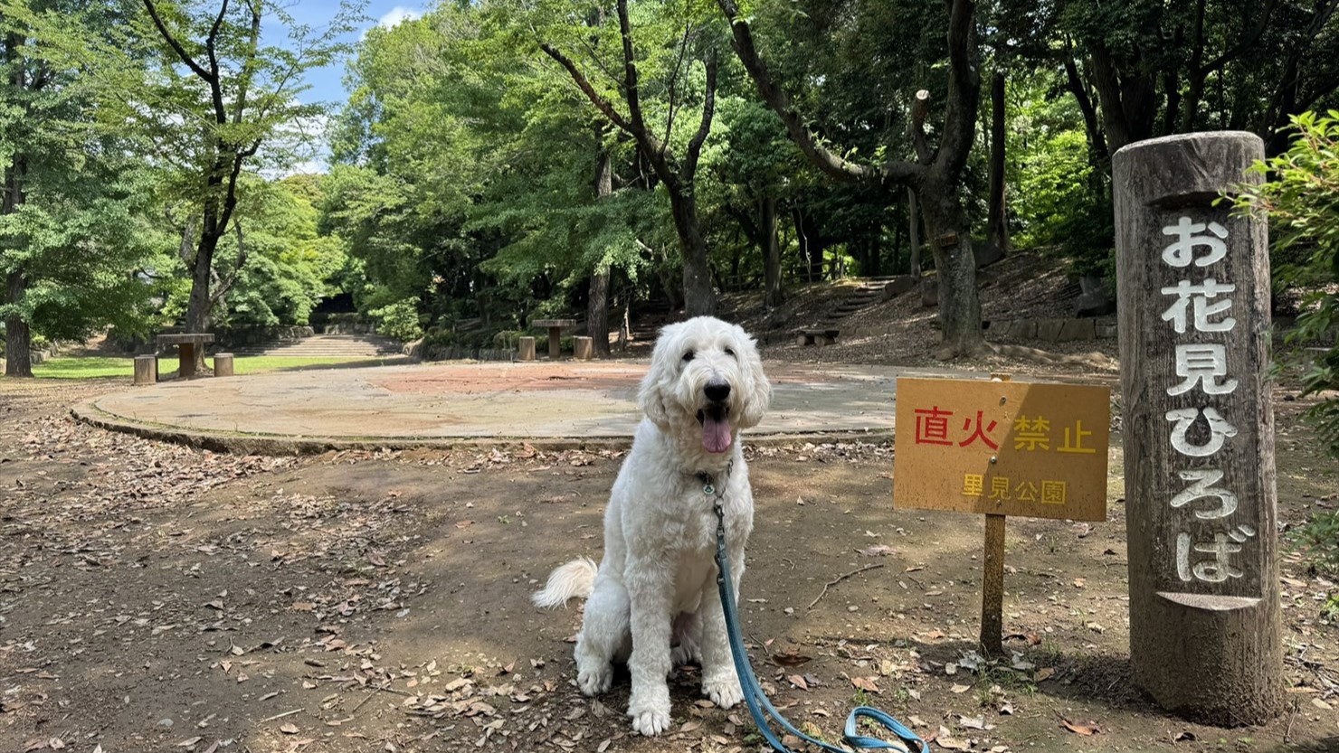 お花見ひろばの入口。予約不要で利用時間は10時から16時まで