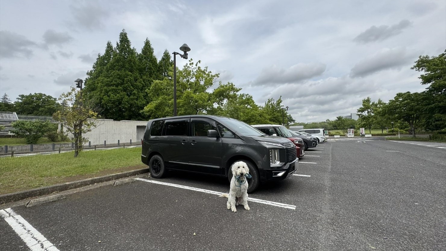 Bゾーンの駐車場の収容台数は250台もある