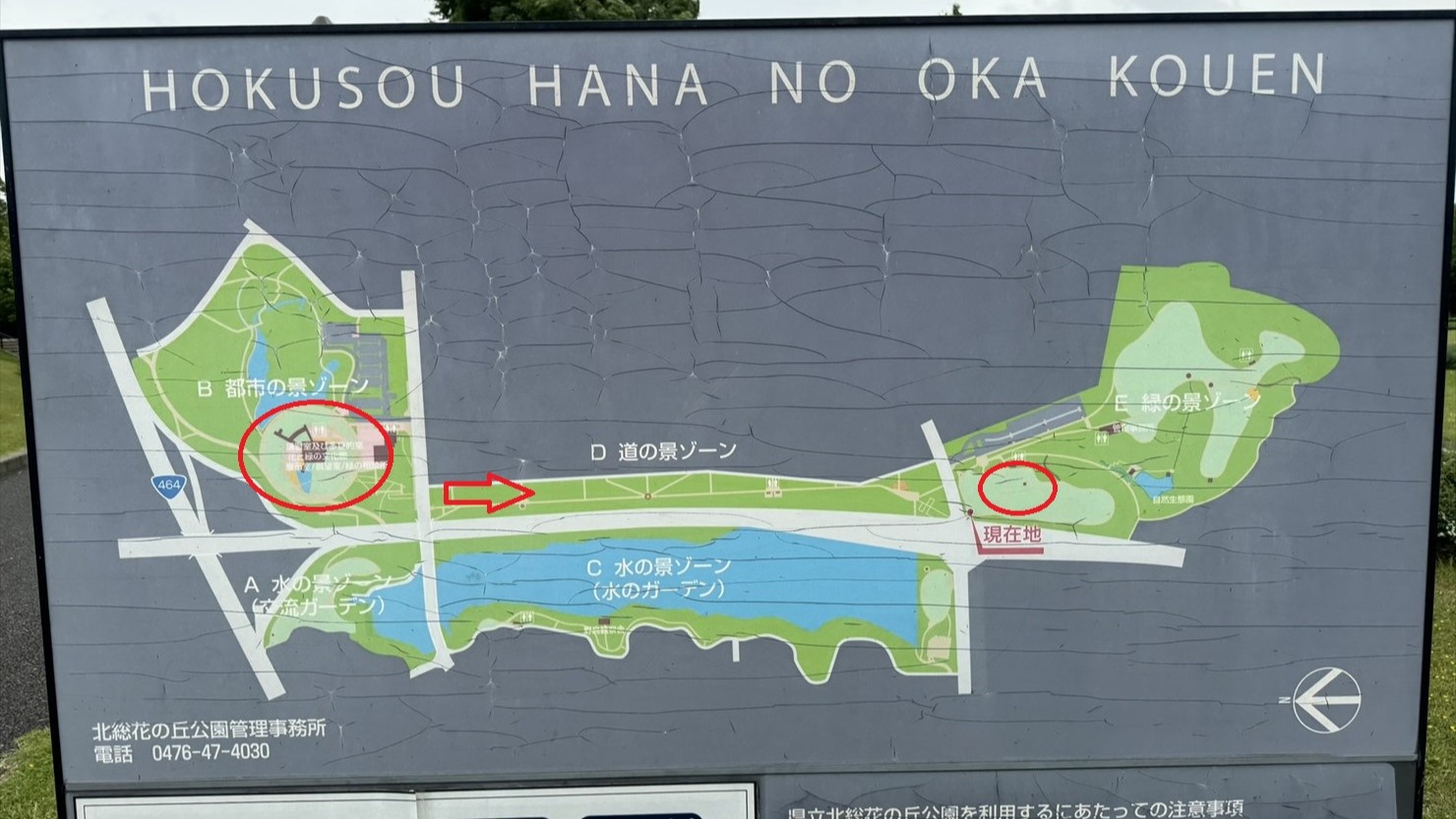 左側の赤丸が花と緑の文化館があるBゾーン。ここから矢印の方向へ進んでドッグランがあるEゾーンへ行く