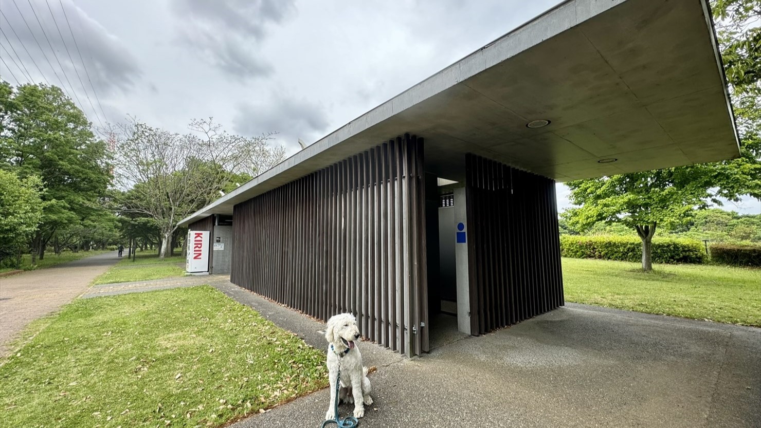 一瞬「建築家が設計した平屋」と思ってしまった