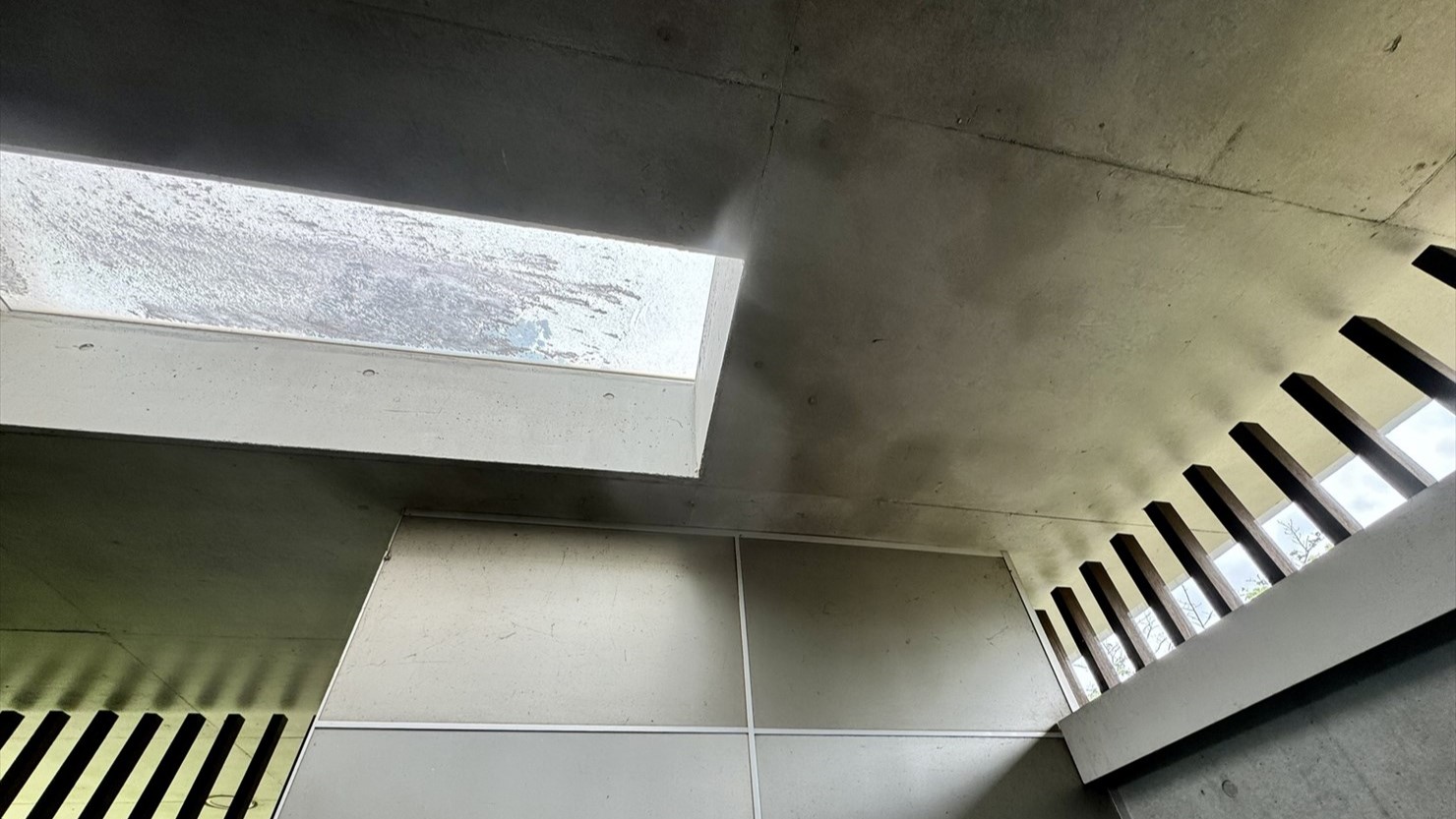 中に入るとコンクリート打ちっぱなしで天窓もあった