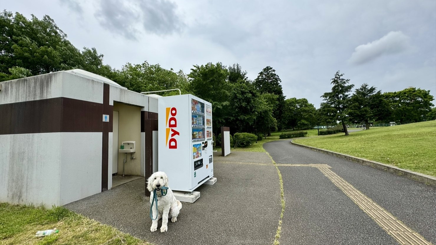 ドッグランの脇にはトイレがある