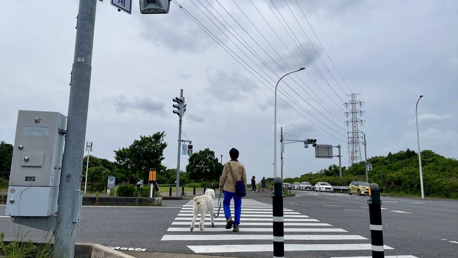 DゾーンとEゾーンの間には県道190号が通っている