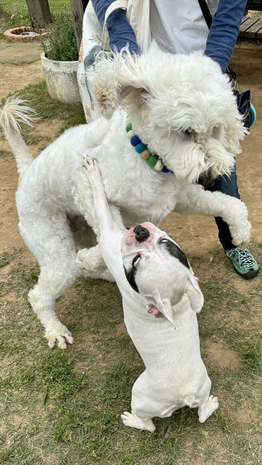 「やっちゃいますよ！」