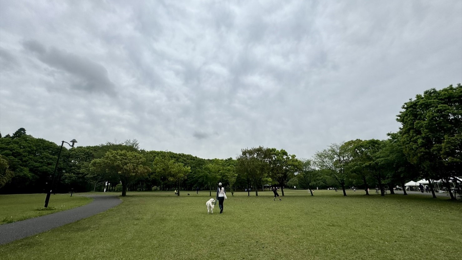 見渡す限りの芝生が広がる陽だまりの広場