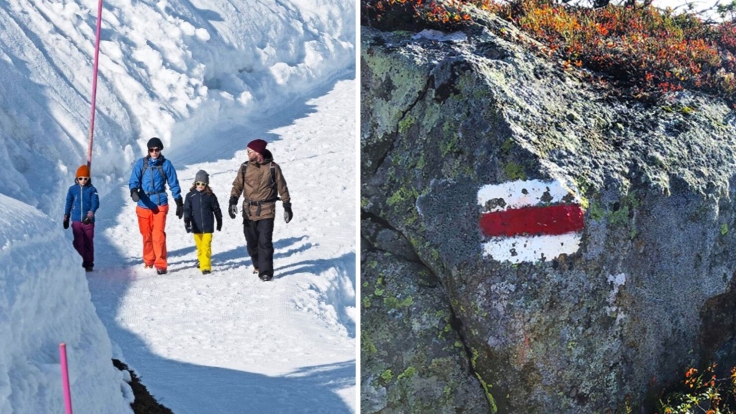 冬でもハイキングできる。ピンクに塗ってある木の棒が「雪の道」の標識（写真左）　© Schweizer Wanderwege