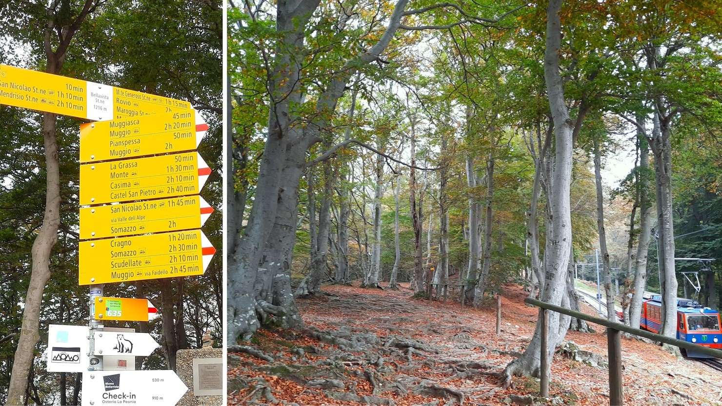 ジェネローゾ山の鉄道の脇に複数のハイキングコースがある。標識には、登山道を示す「白・赤・白」が付いている　©Satomi Iwasawa　協力：スイス政府観光局 www.myswiss.jp