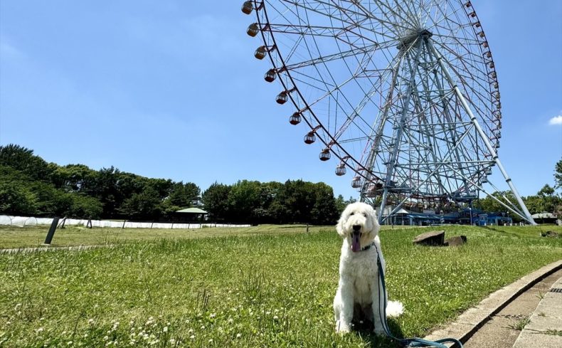 葛西臨海公園（江戸川区）を愛犬と散歩しよう！～椎名前太の犬と楽しむ公園ガイド