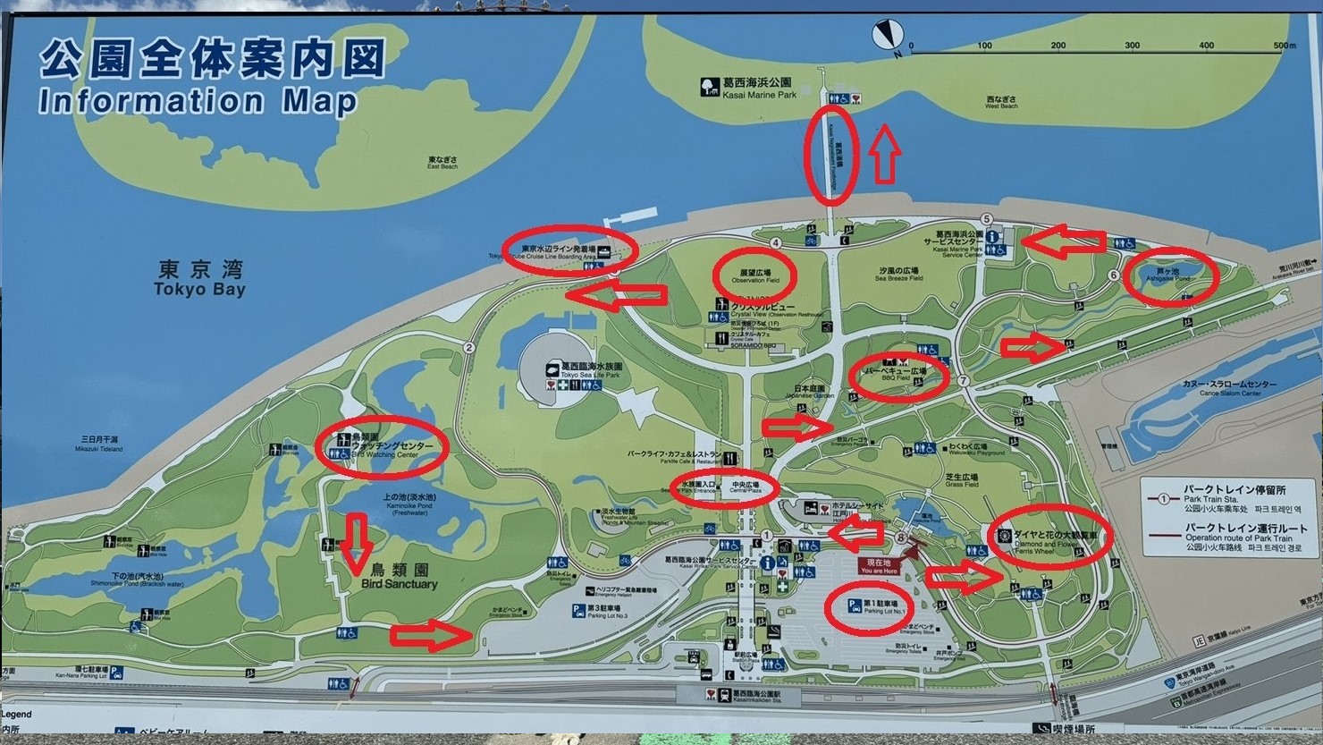 赤丸部分などをめぐる予定