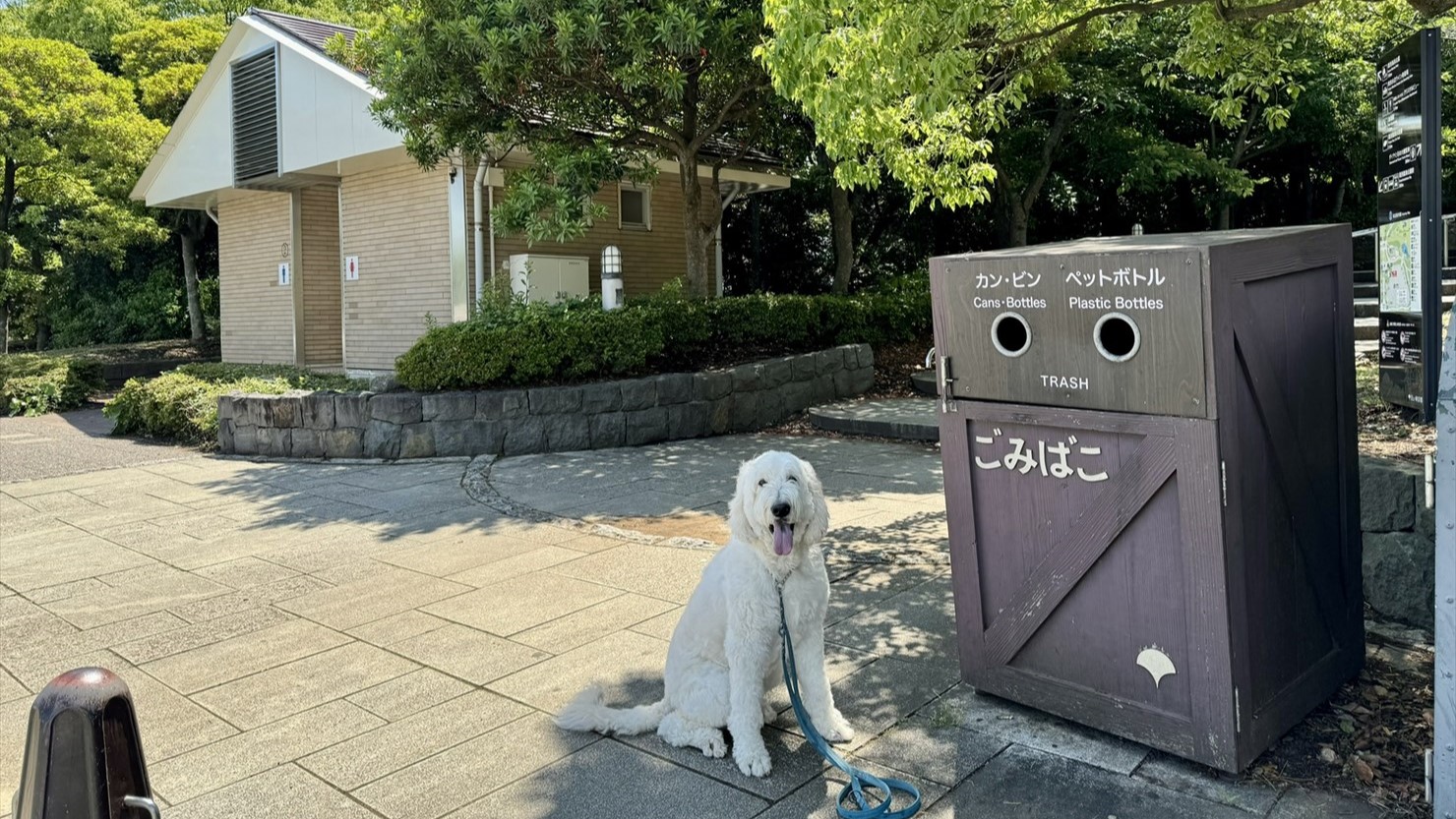 葛西臨海公園の駐車場の脇には立派なゴミ箱とトイレがあった