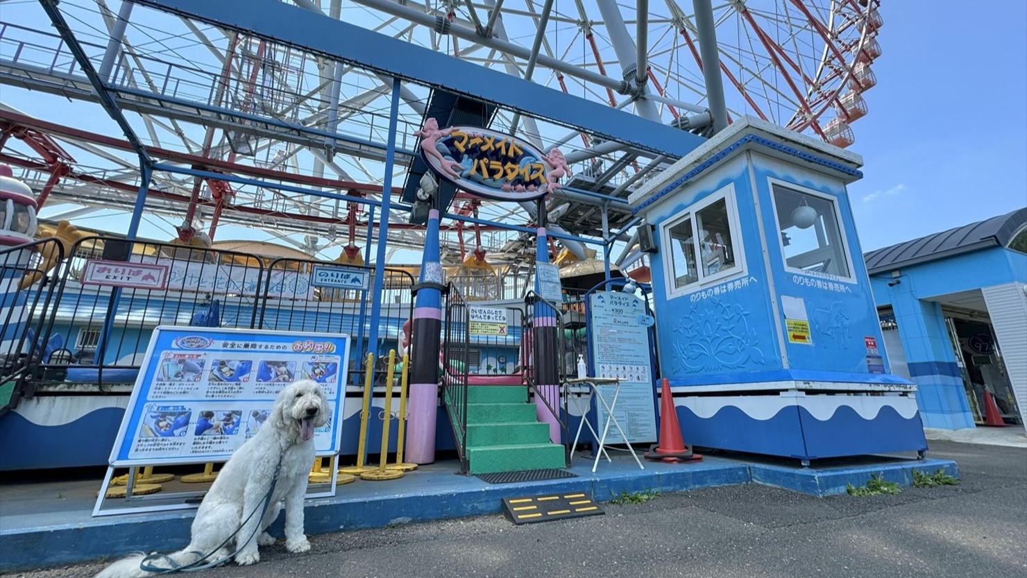 ダイヤと花の大観覧車の真下にあるマーメードパラダイス
