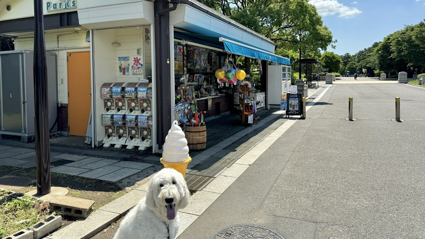 平日も営業しているパークス葛西店（定休日は年末年始）