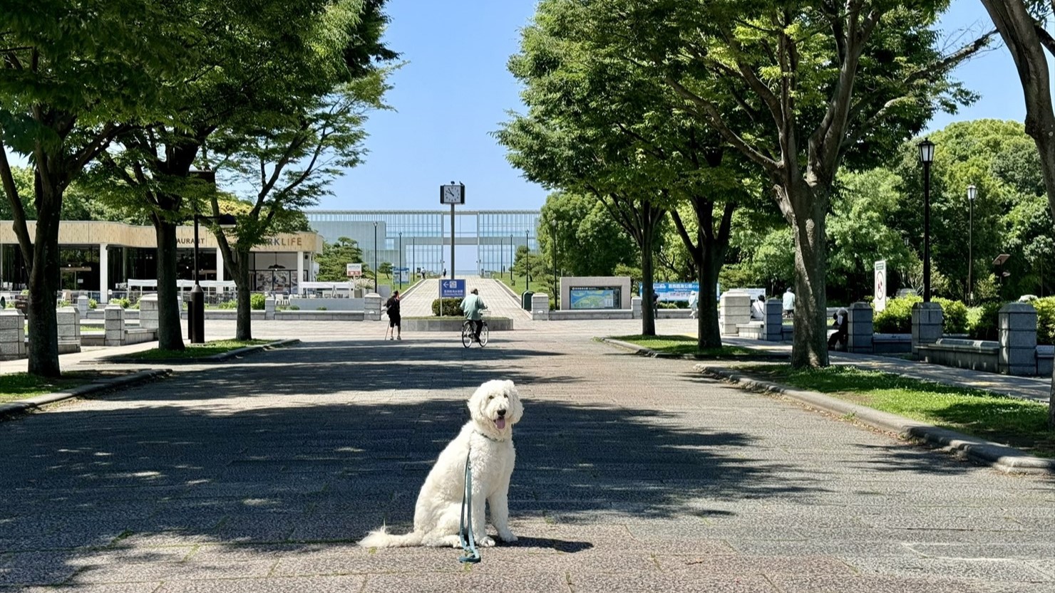 この日の中央園路は平日なので空いていた。突き当たりのガラス張りの建物は、展望施設のクリスタルビュー