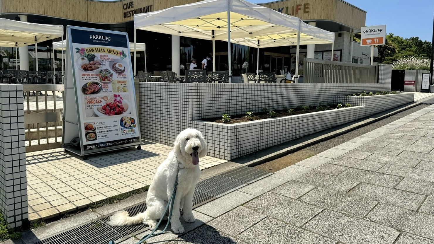 ハワイをイメージしたパークライフカフェ＆レストラン