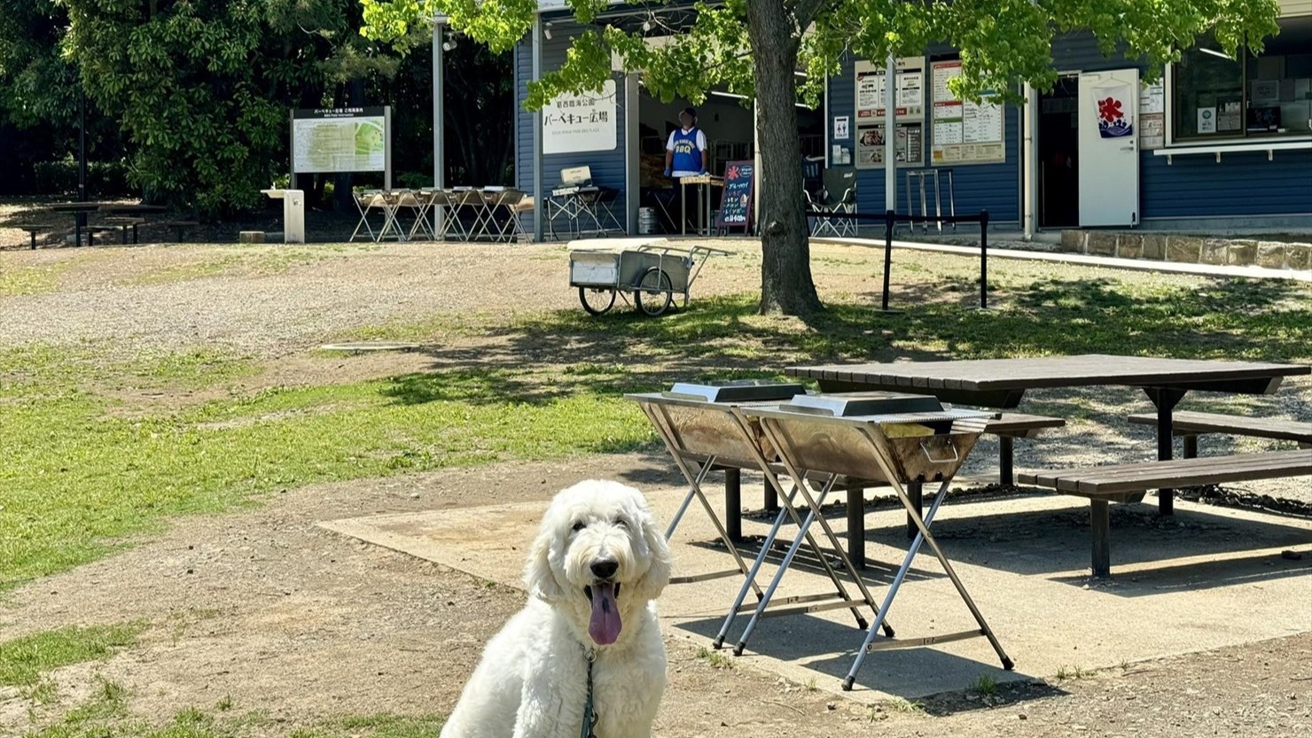 葛西臨海公園のバーベキュー場では奥の建物で受付や器材のレンタルを行っている