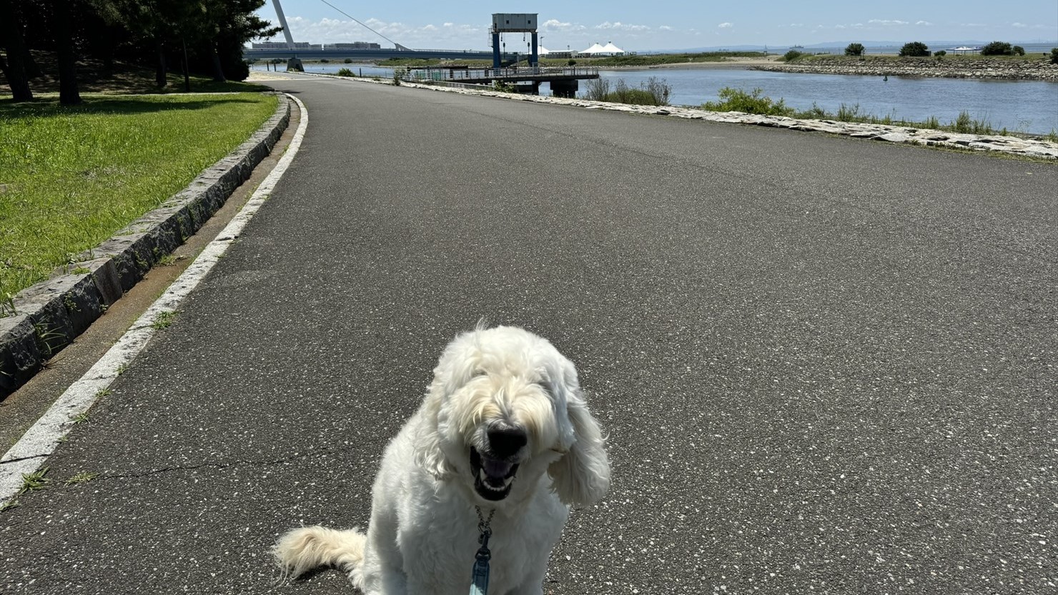 急に視界が開けてはしゃぐ泰楽。いいから水を飲んでください