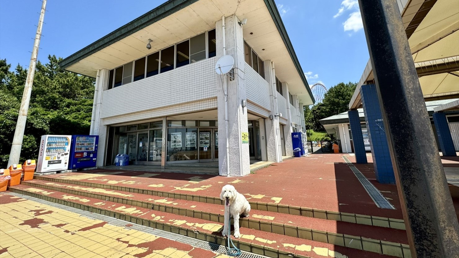 この白い建物の1階がいきものステーション、2階が葛西海浜公園の管理事務所