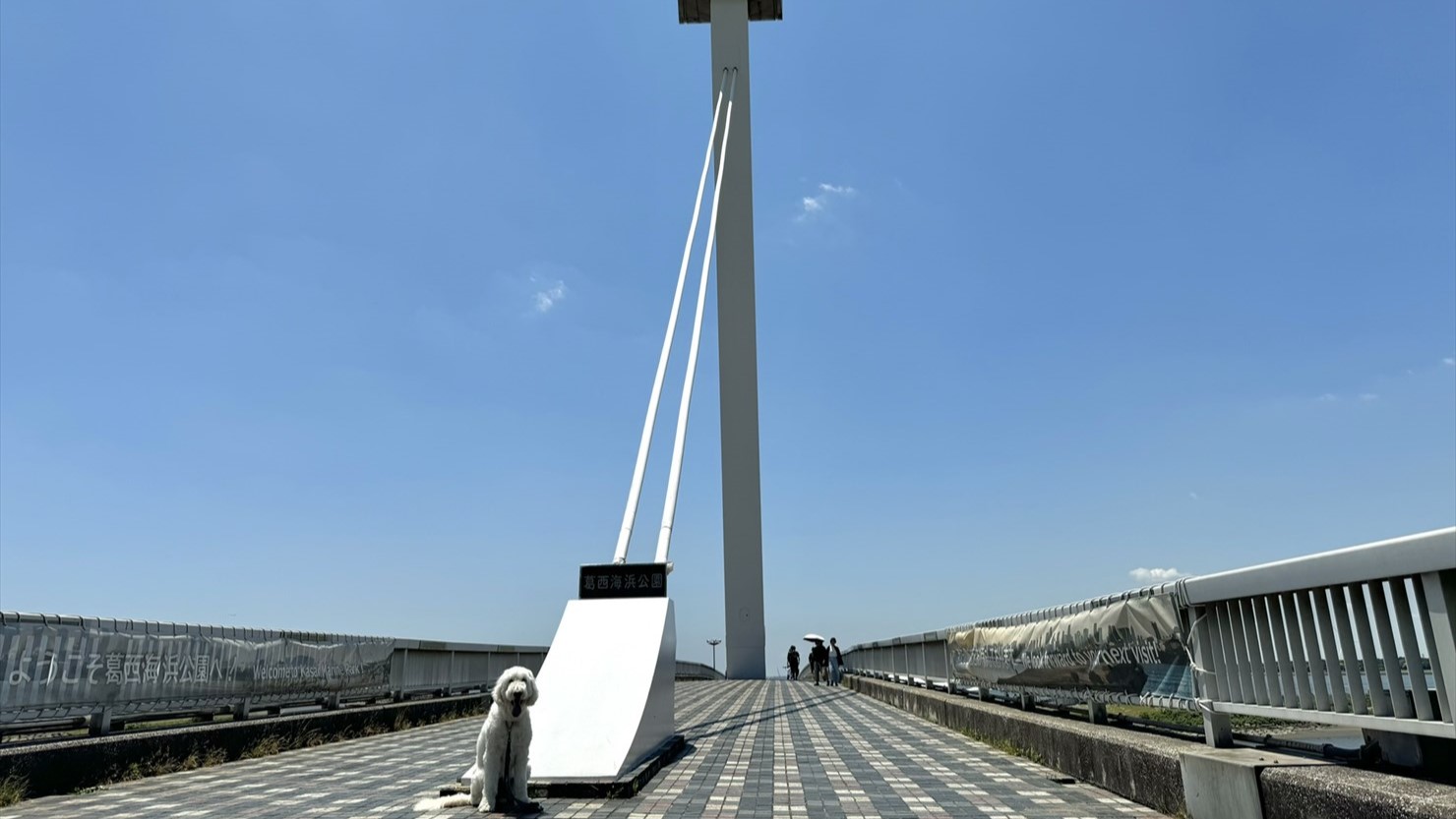 すくっと斜めに立つ塔柱がヨットの帆柱をイメージさせる葛西渚橋。正面から撮影したのでわかりにくい……。