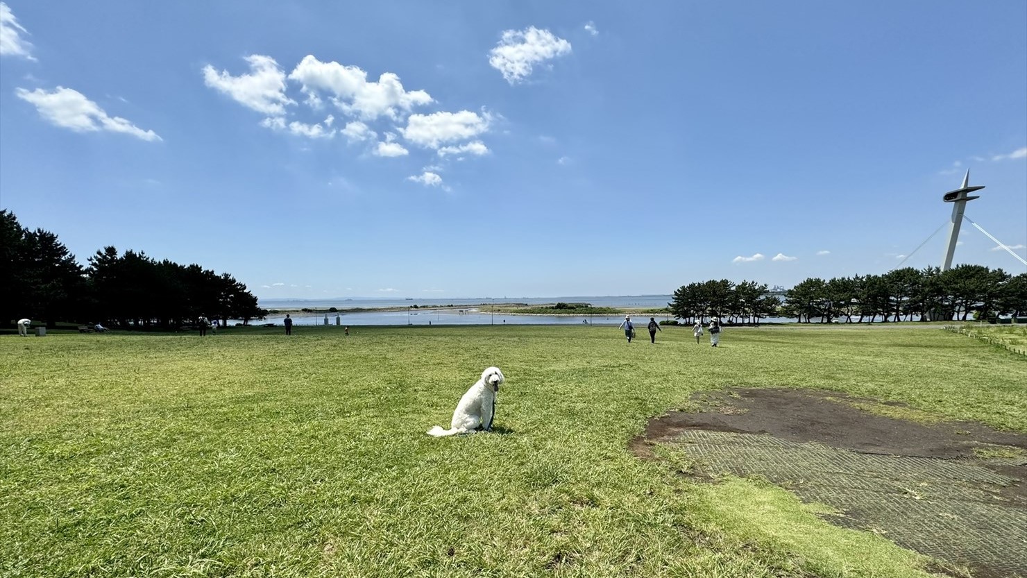 その名のとおり見晴らしのいい展望広場。この右側に花壇がある。