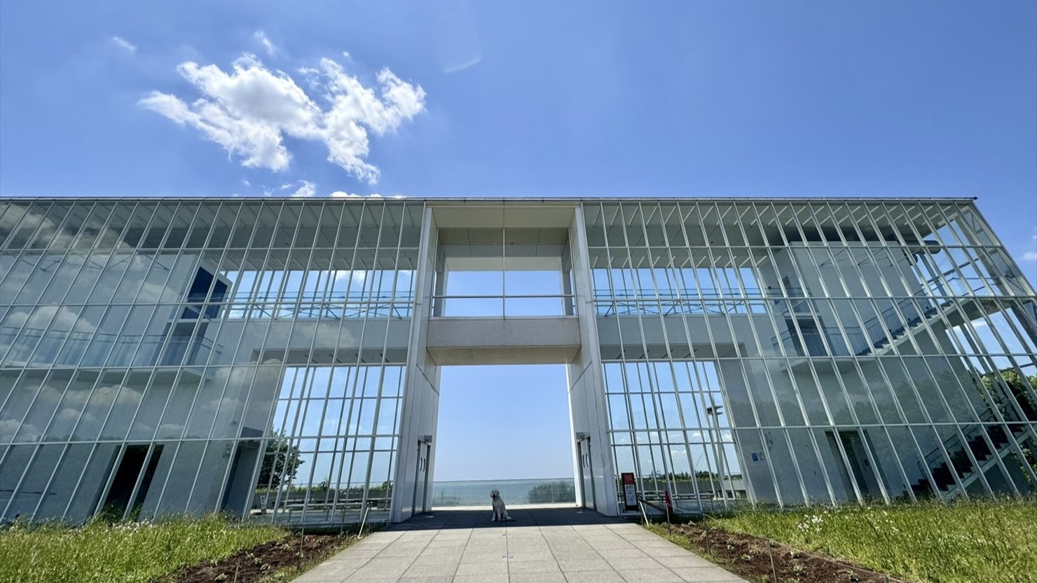 透明感あふれる姿が美しいクリスタルビュー