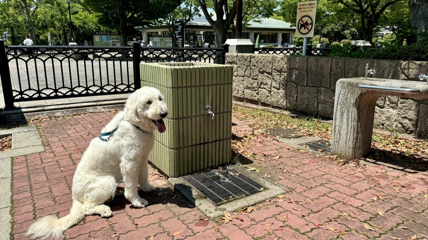 葛西臨海公園内にはこのような水道が複数ある