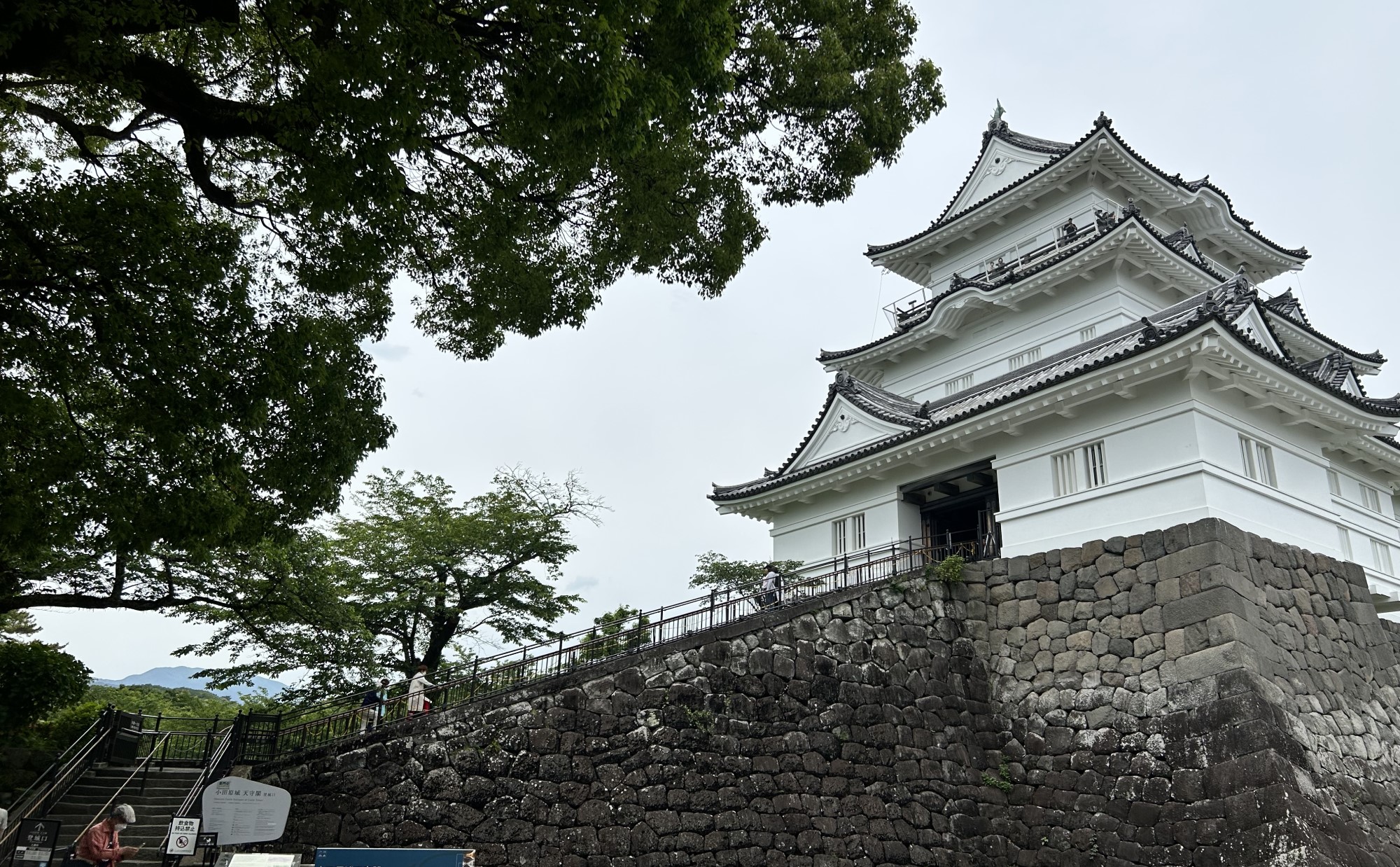 小田原の城下町を散歩しよう！生まれも育ちも小田原の主婦がおすすめ散歩・ウォーキングコースを紹介