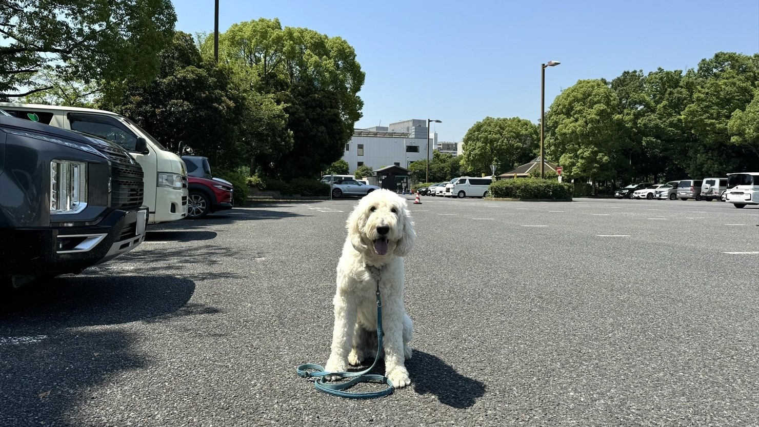 第一駐車場の収容台数は104台。この日は半分くらい停まっていた