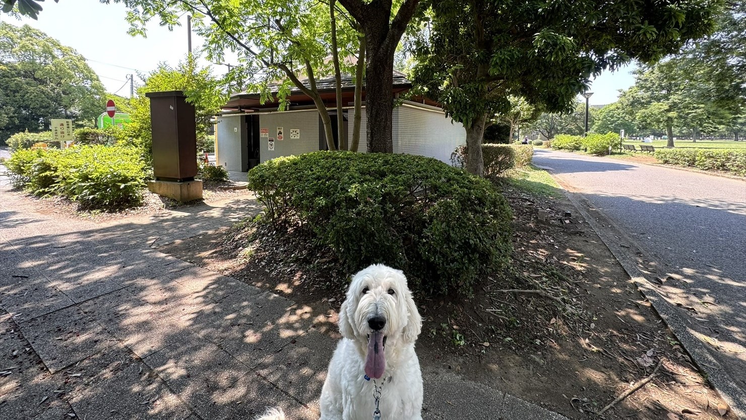 第一駐車場の脇にはトイレと飲料の自動販売機があった
