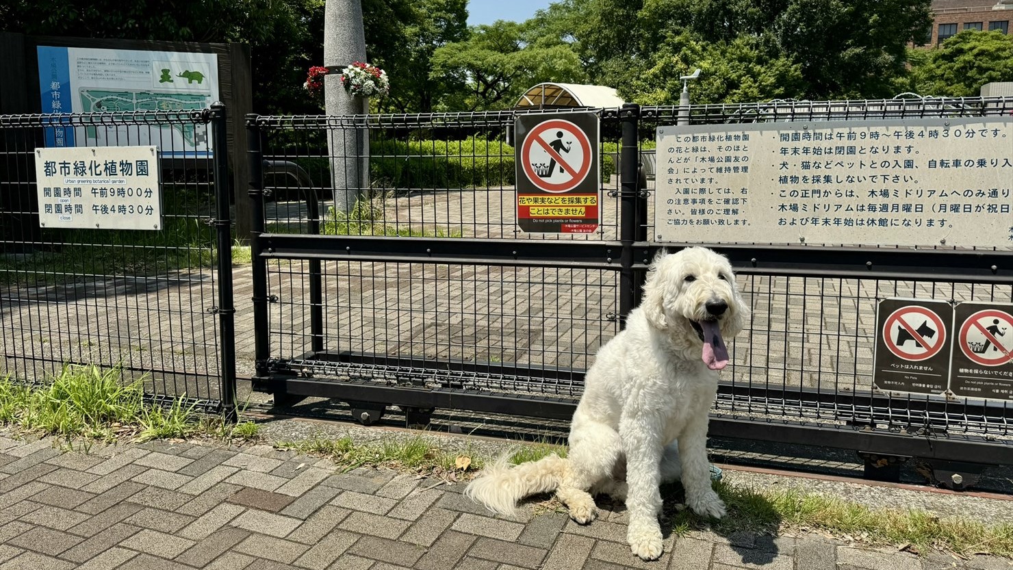 都市緑化植物園の開放時間限定エリアの入口。ワンコと一緒に入ることはできない