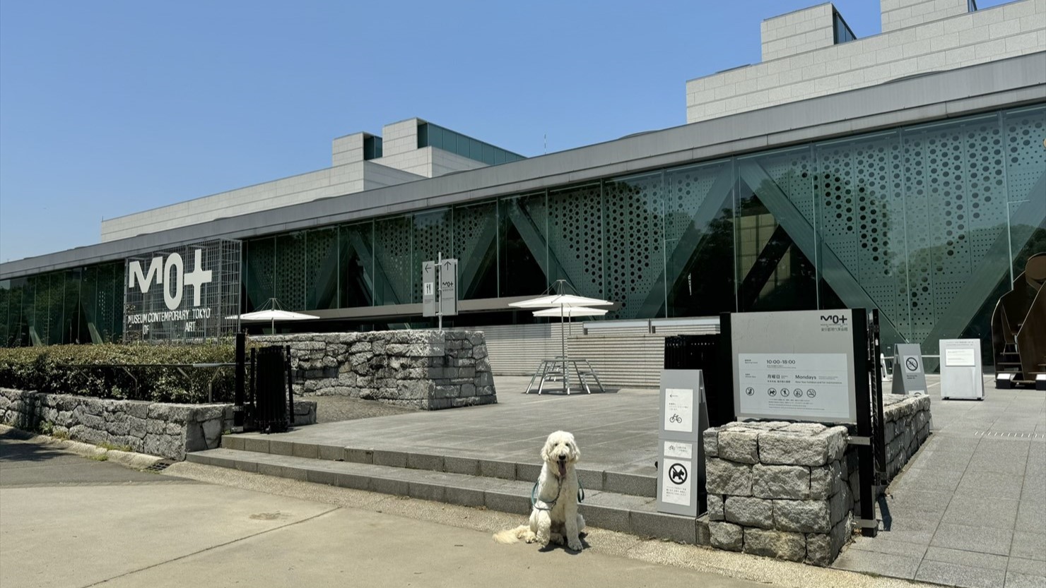 ガラス張りのフォルムが美しい東京都現代美術館