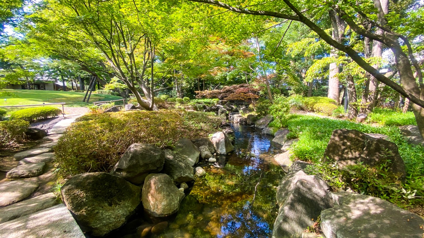 善福寺川沿いの和田堀公園
