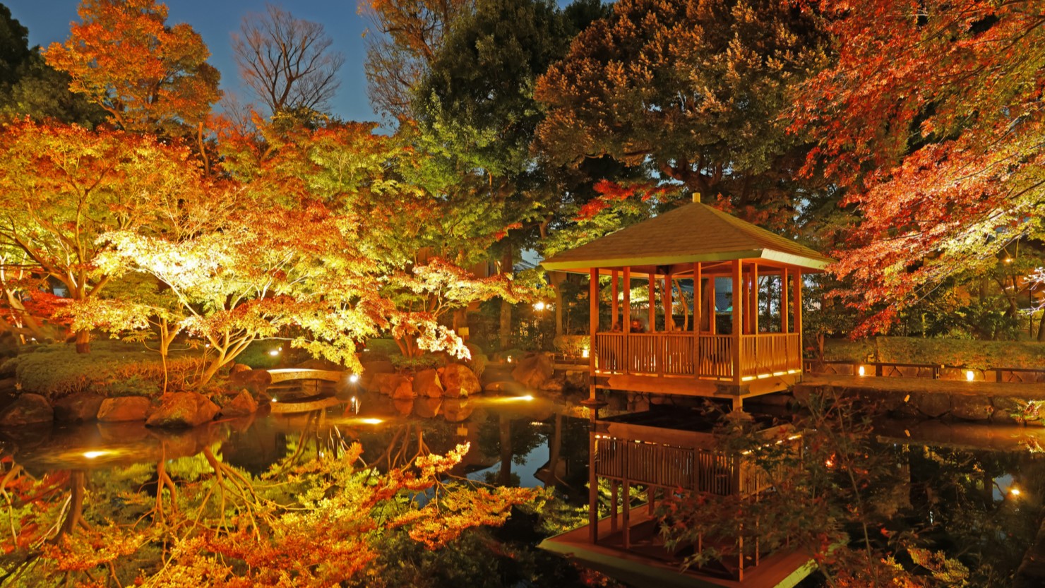 ライトアップされた大田黒公園の紅葉