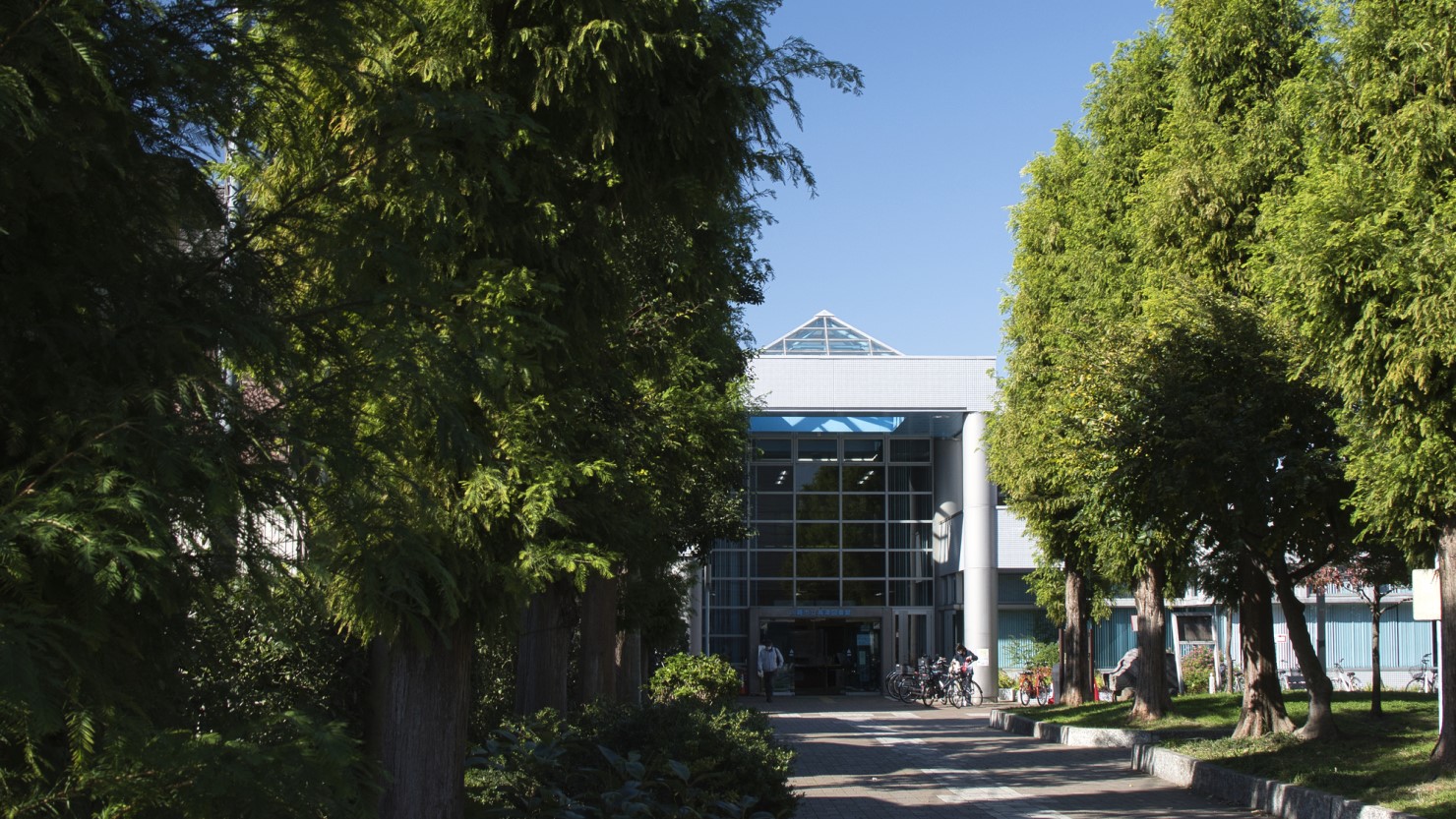 川崎市立高津図書館